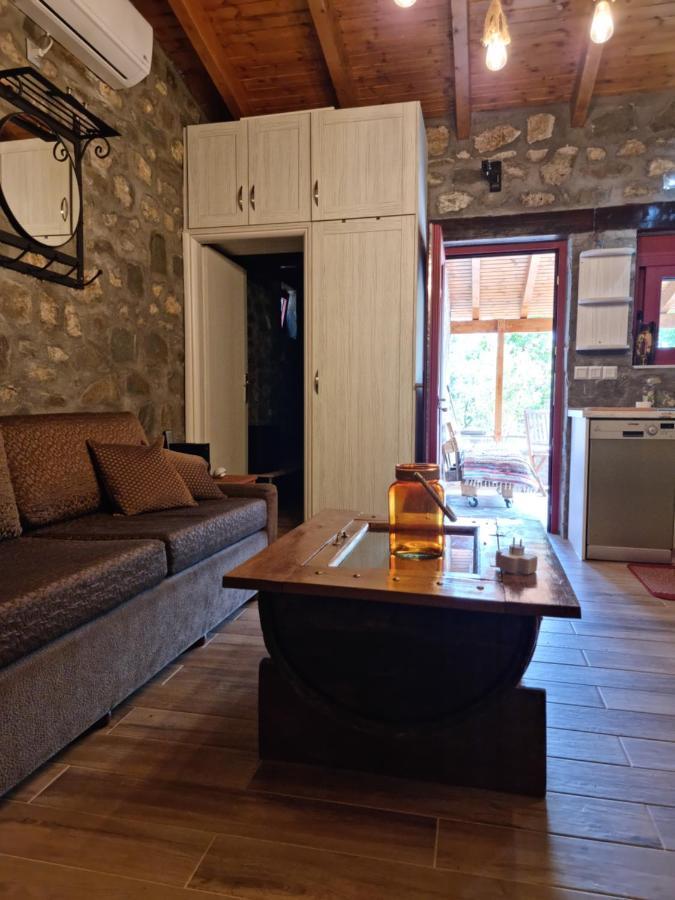 House With Big Garden And Barbeque In Nature Vourgarélion Exterior foto